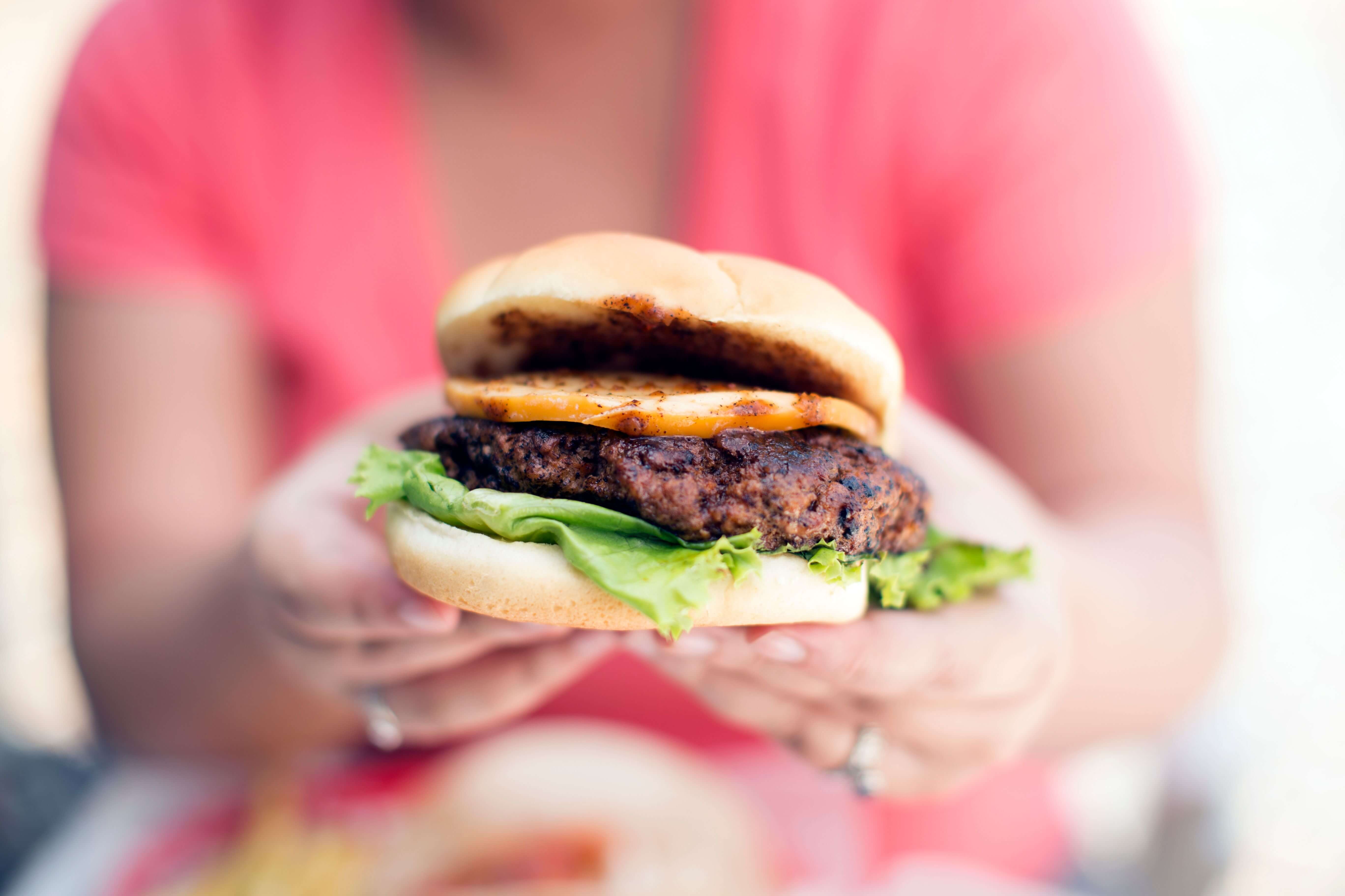 Hamburger 2